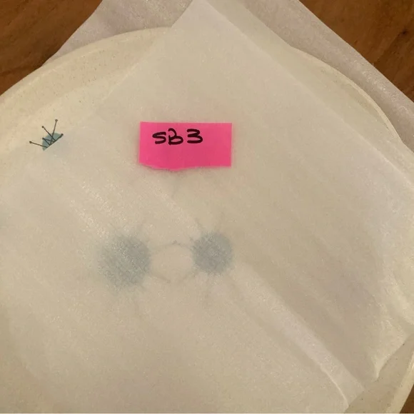 2 Franciscan Starburst Mid-Century Modern Dinner Plates - Picture 7 of 7